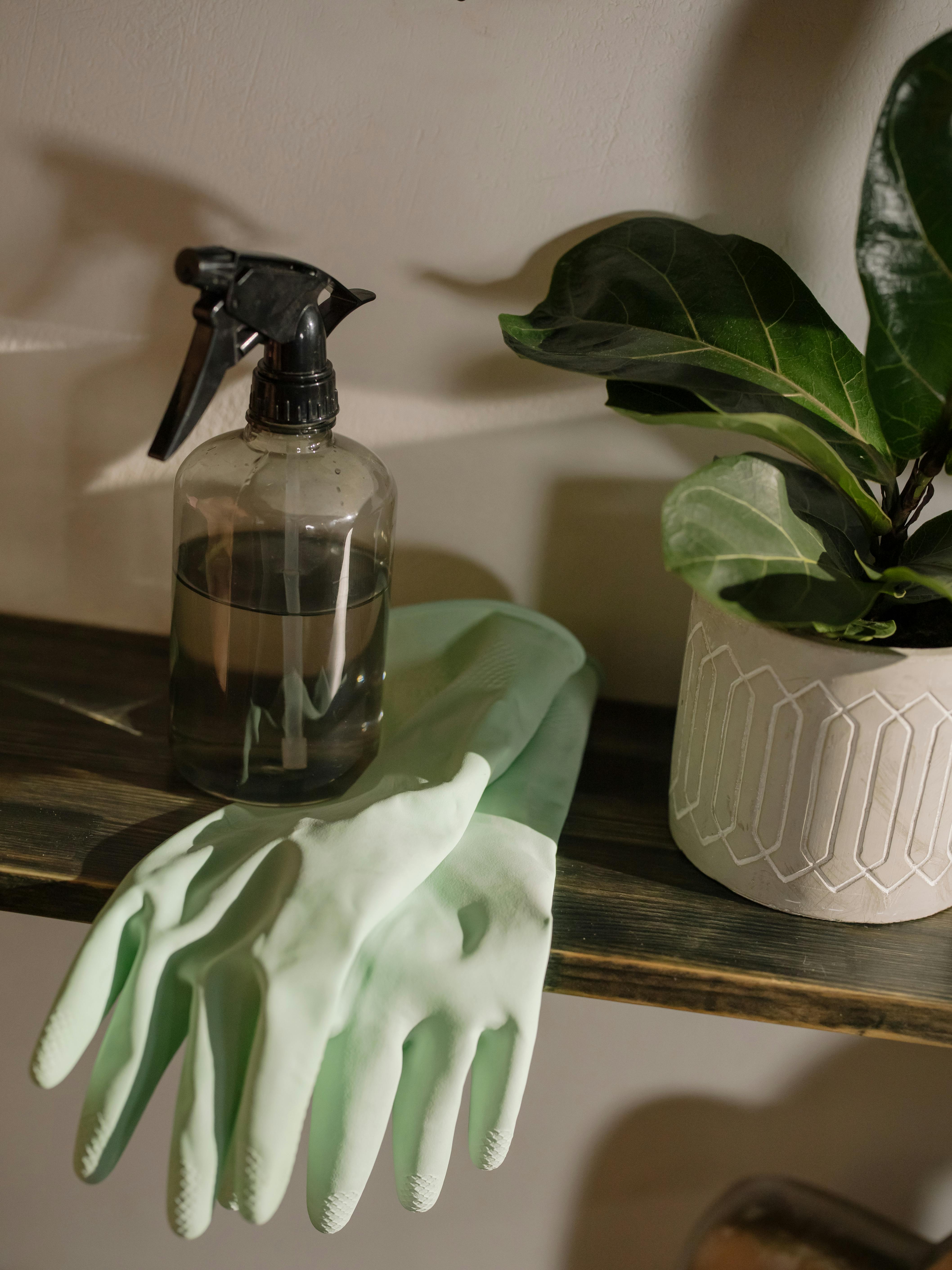 Daily household items grouped on table